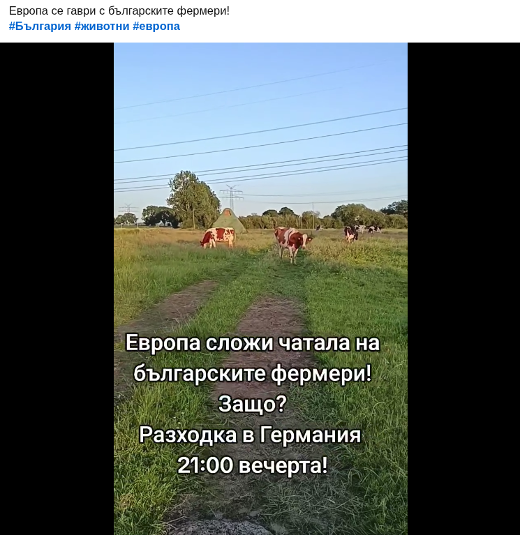 Screenshot-20260626-115933.png