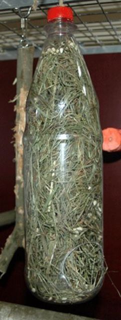 1d4317fa8b43d3bdc290eac46b64c155