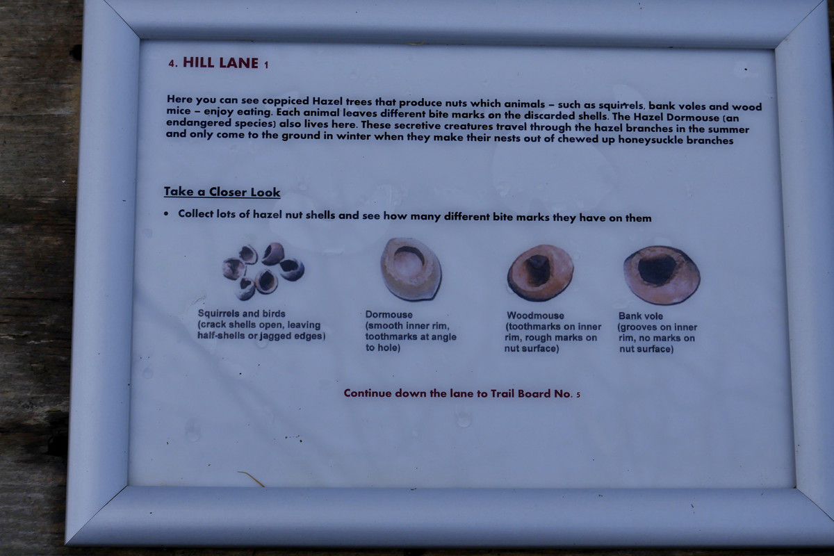 6AD0853A-9A13-4F3B-853B-A8B72E297F1D