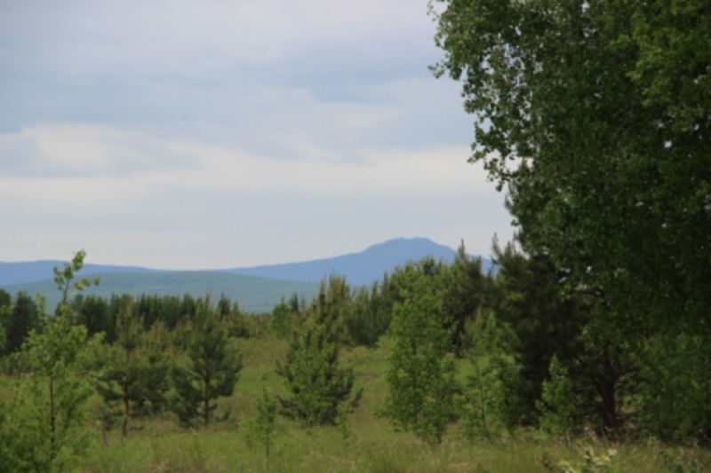 Лозьва 2013 041