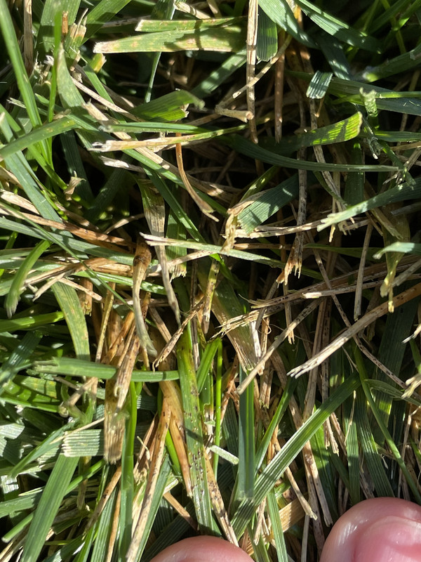 87DF805D-C56C-4F09-9234-D791A3DF15D2