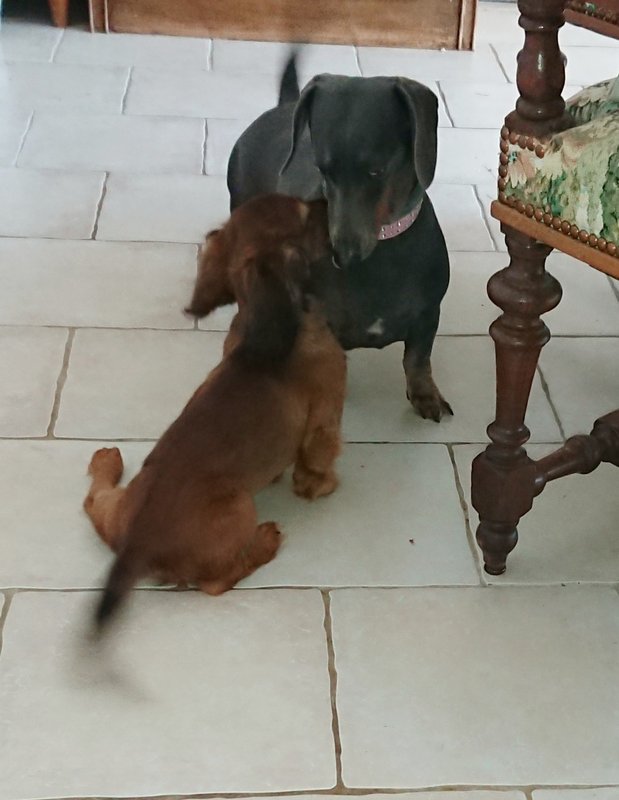 [Image: 20240927-142204.jpg]