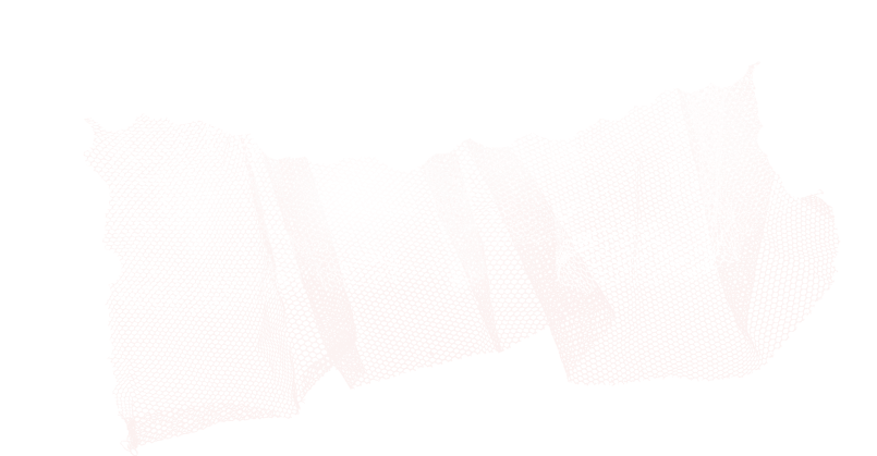 Tulle1