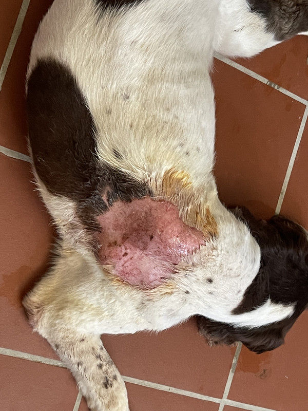 CEFF4BDD-028F-45AB-904B-45D48DA2FB57