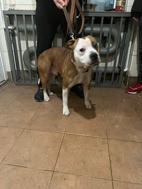 WhatsApp Image 2024-01-20 at 22.14.43 (2)