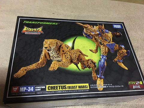 16864092_413135299036903_5194623881933821563_n