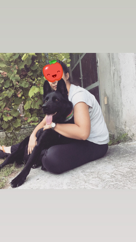 193FEB41-A34F-4F15-9769-0061E8208A3D