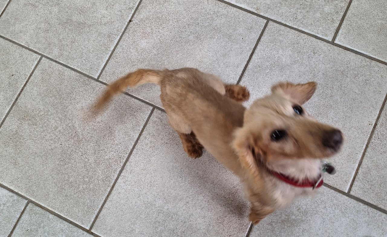 [Image: 20240426-104607.jpg]