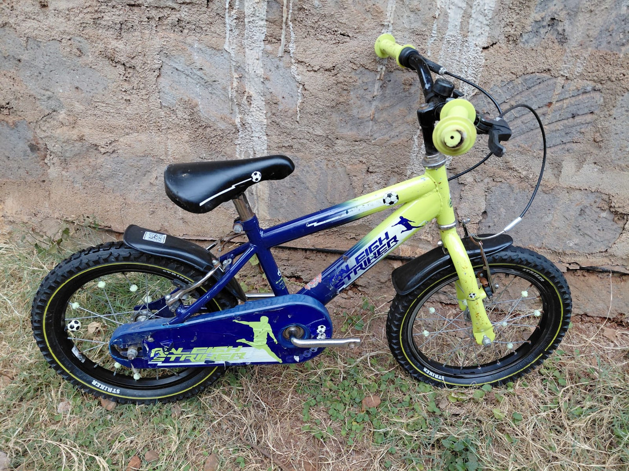16"Raleigh Striker