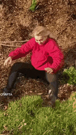 445.gif