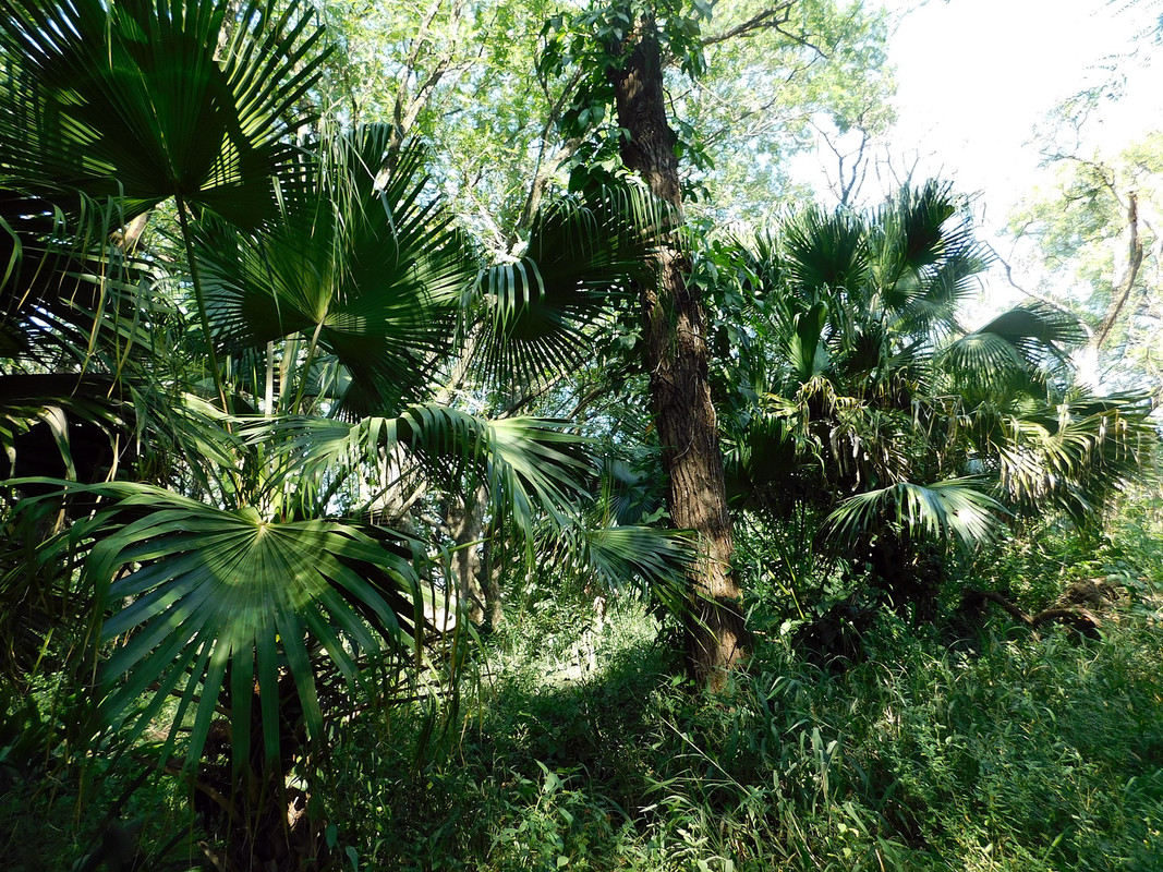 DSCN3205.jpg
