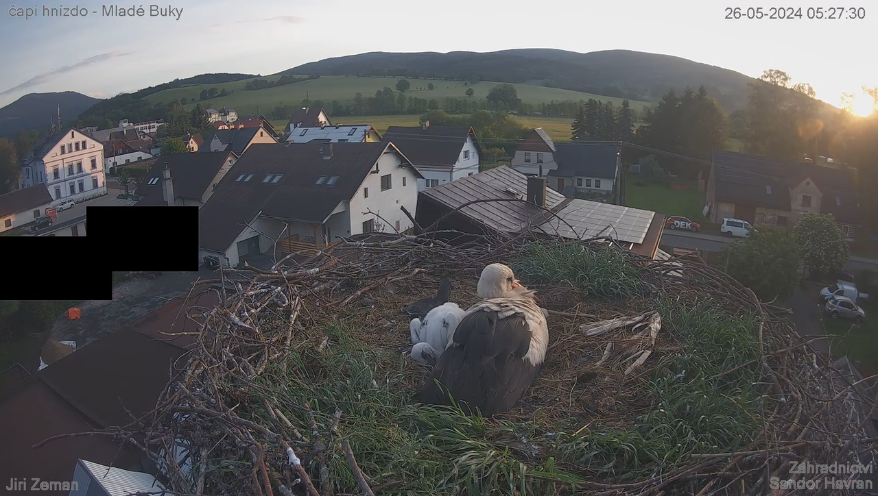 Tiešraides kamera — Mladé Buky — stārķa ligzda 6-0-6 screenshot