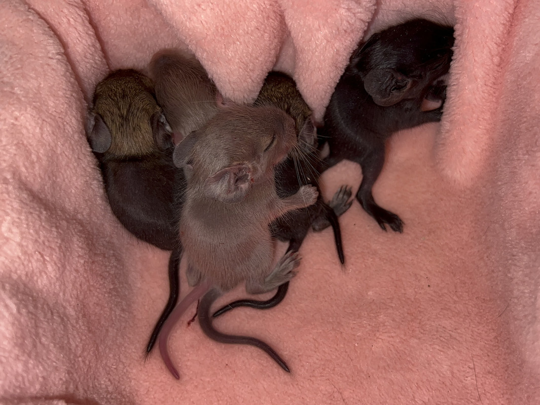 7BDCDBEE-EFDA-4C52-B887-799EF67AE456