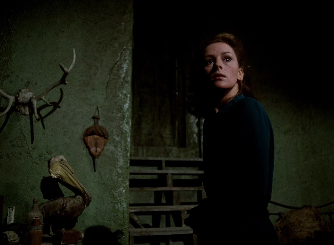 Salem's Lot 1979 (1080p x265 10bit Tigole).mkv_snapshot_02.30.06