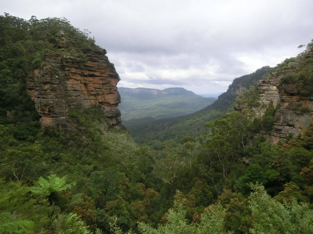 AUSTRALIA , "QUE GRAN PAIS" - Blogs de Australia - SYDNEY / FEBRERO 2017 (6)