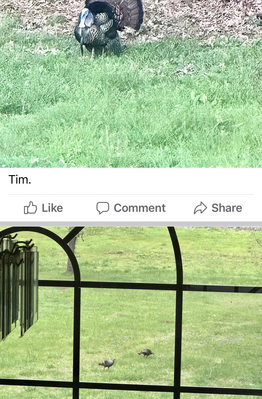 [Linked Image]