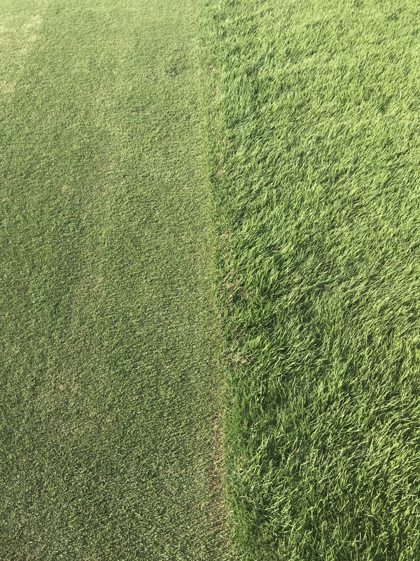 08F8ED75-45EF-4CAA-8C3F-E50CC93D376A