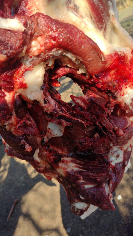 WhatsApp Image 2022-10-10 at 12.14.15(2)