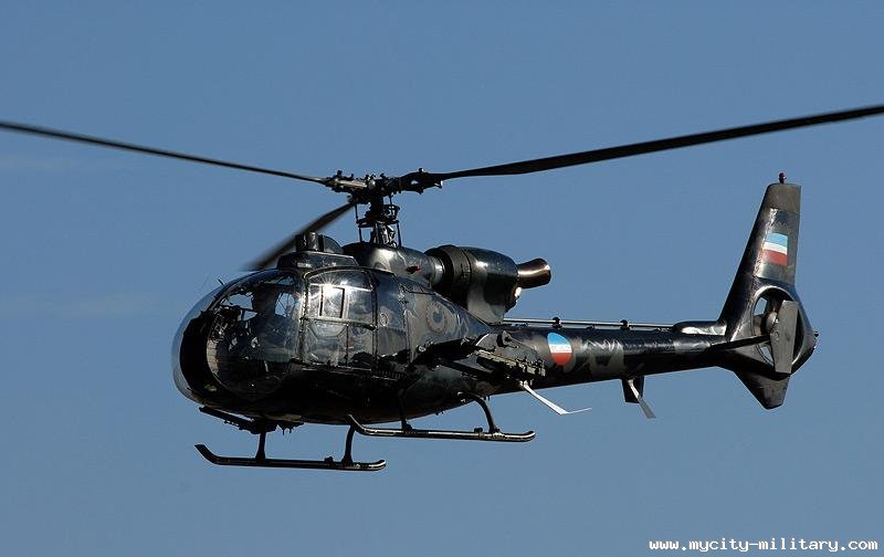 111781-53413788-Gazelle-srj.jpg