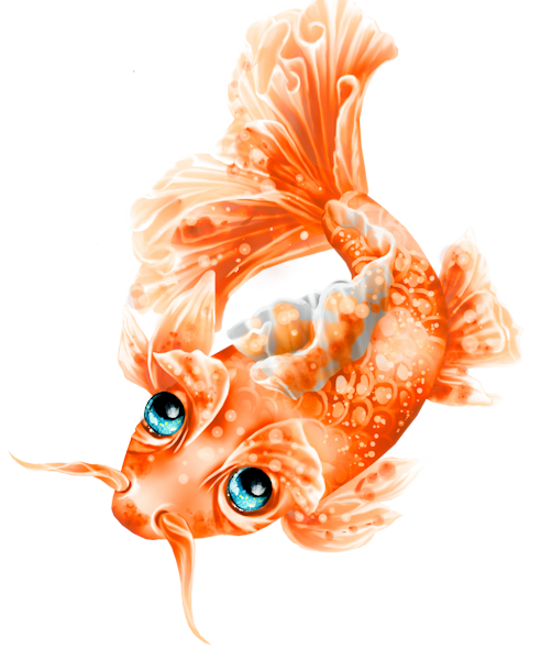 Elements (25)