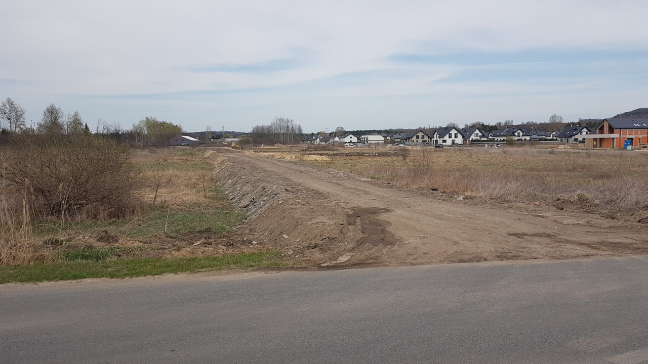 20250413_Dobieszowice_Łabędzia