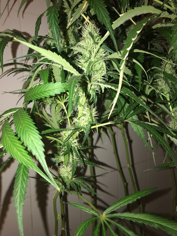 873EBA02-3F95-4A20-93F0-BAD111718A5E