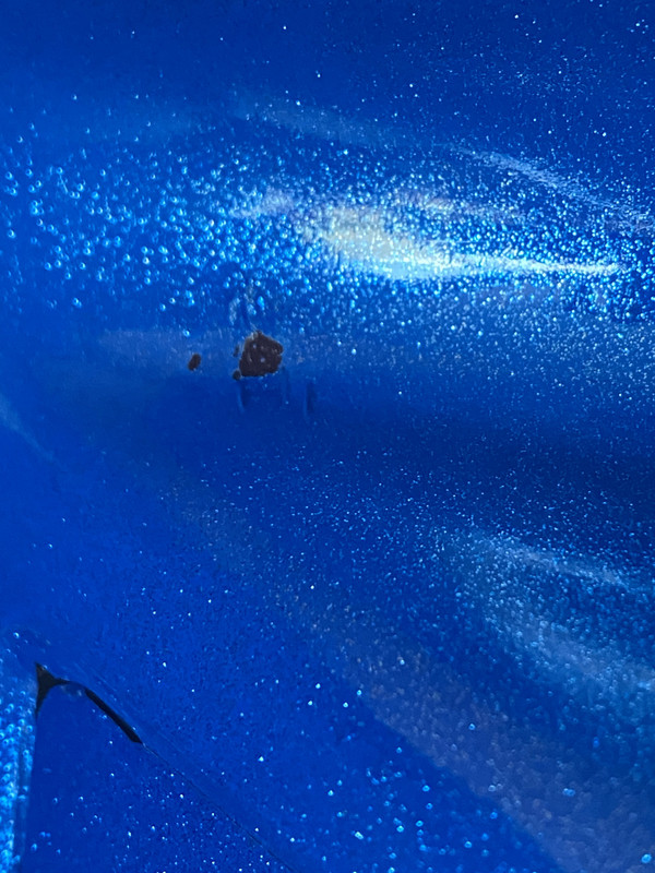 4C740786-BCB2-4151-8BD9-9BD321819CBC