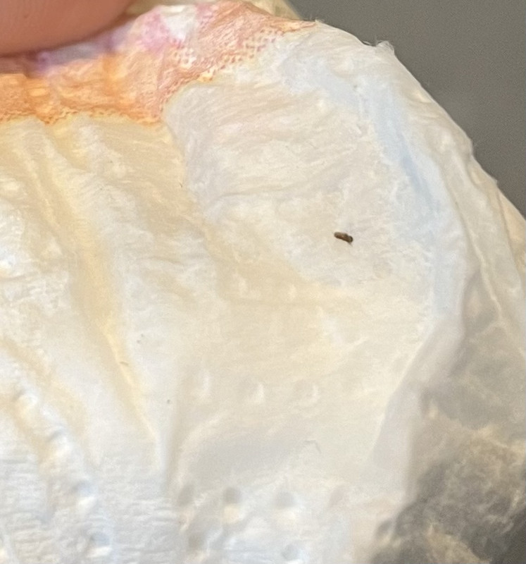 FB9FBDF3-7409-4AB4-BC4F-EB3D6CEBA132