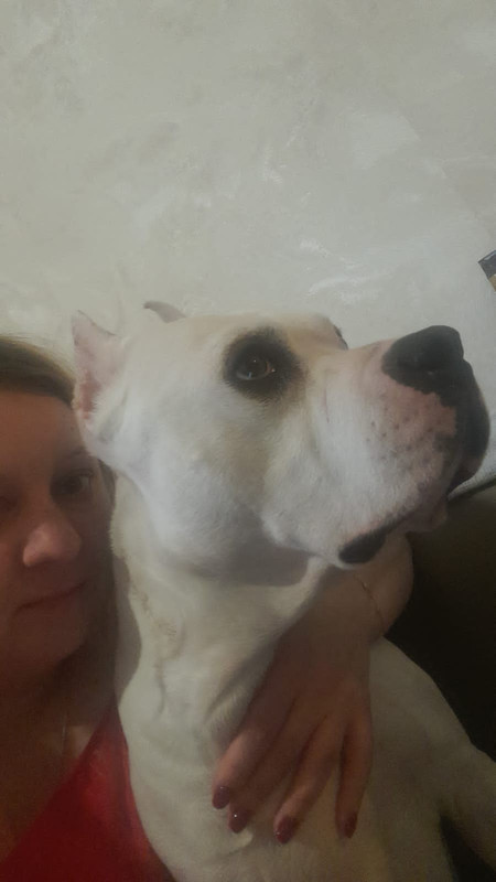 D28C2152-A9E7-4972-8127-ADDBEF876E96