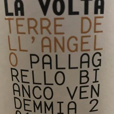 La Volta' Terre del Volturno IGP Pallagrello bianco - Terre dell'Angelo 12,5%