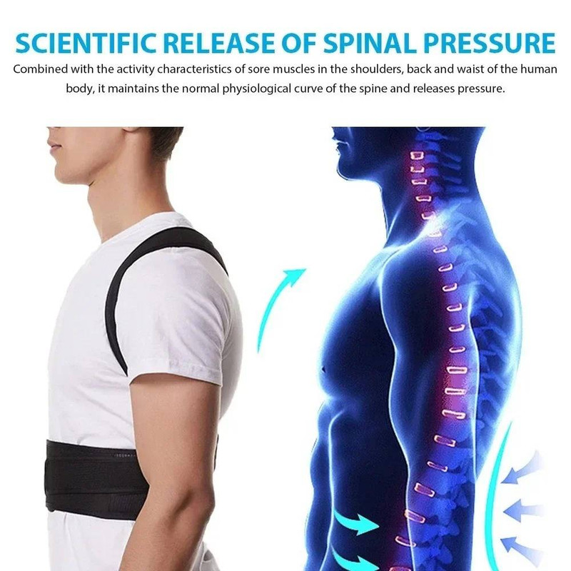 back support 2