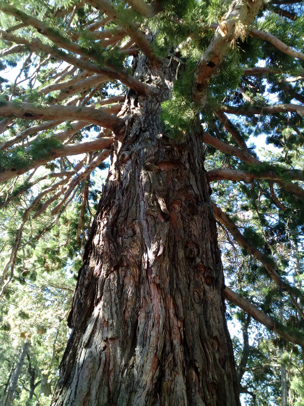 IMG_20170916_092457_1CS