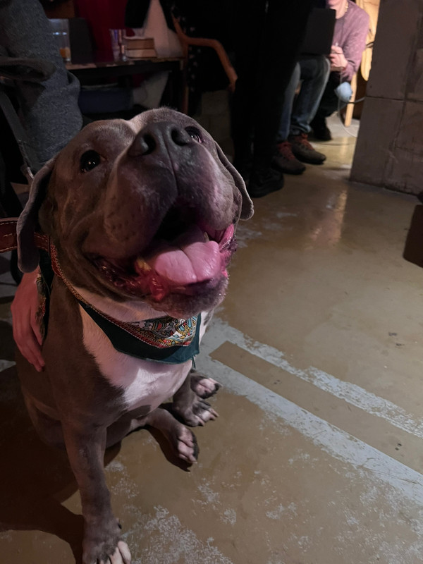 1567C050-A45D-40EB-A120-84B01736A744