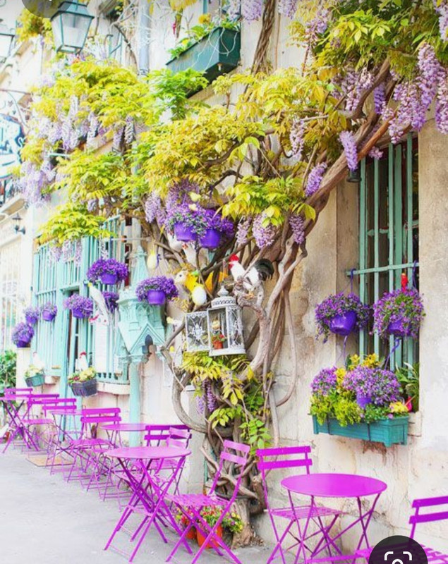 Screenshot_20230408_234135_Pinterest