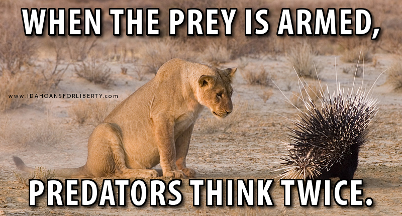 gun control armed prey predators think twice