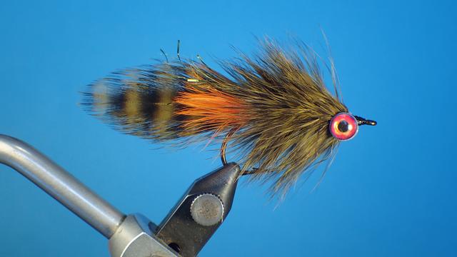 B66EE7C5-3703-4290-91AC-79F900F842D4