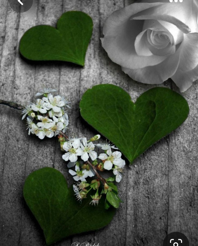 Screenshot_20230427_231642_Pinterest