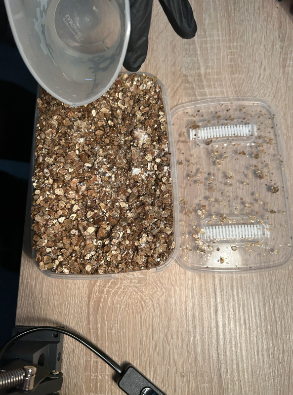 Ekran Resmi 2024-01-13 01.44.38