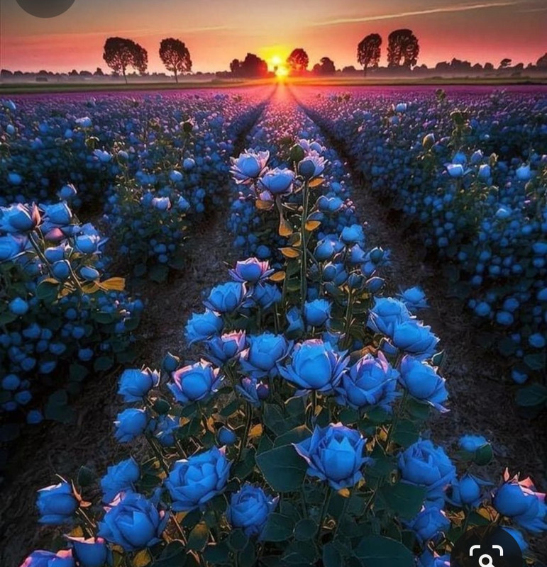 Screenshot_20240429_213254_Pinterest