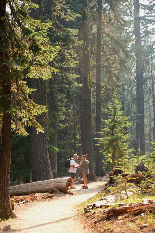 Árboles gigantes, fuegos y volcanes extintos - Oregon y California norte (2018) - Blogs de USA - Zona volcánica de Oregon (9)