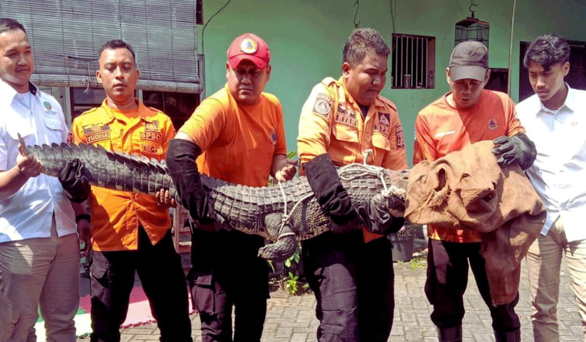 Respons dan Peringatan Dari BPBD Surabaya