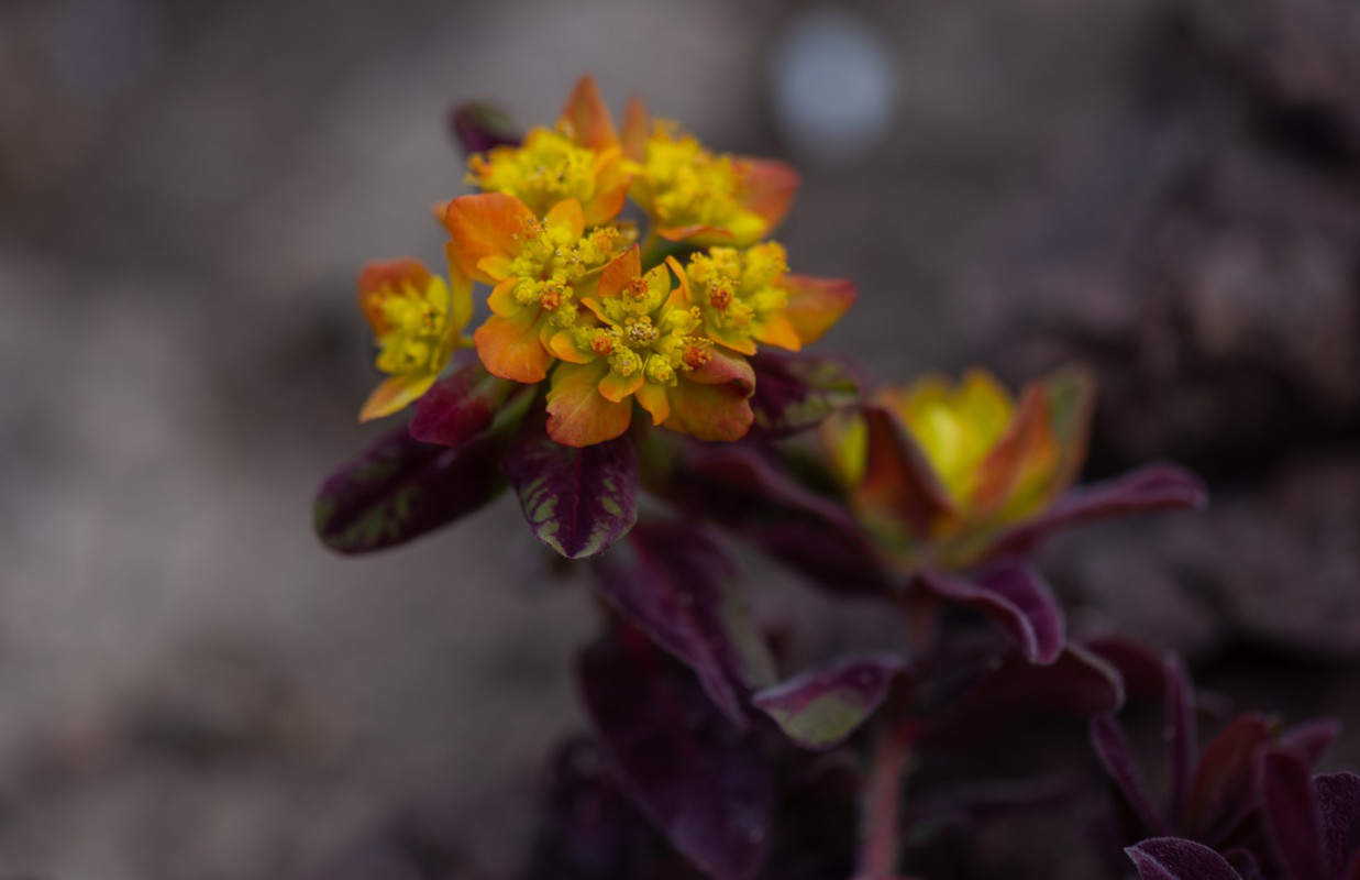 IMG-9d645ffb00aa723d9eb45441d1761ad1-V
