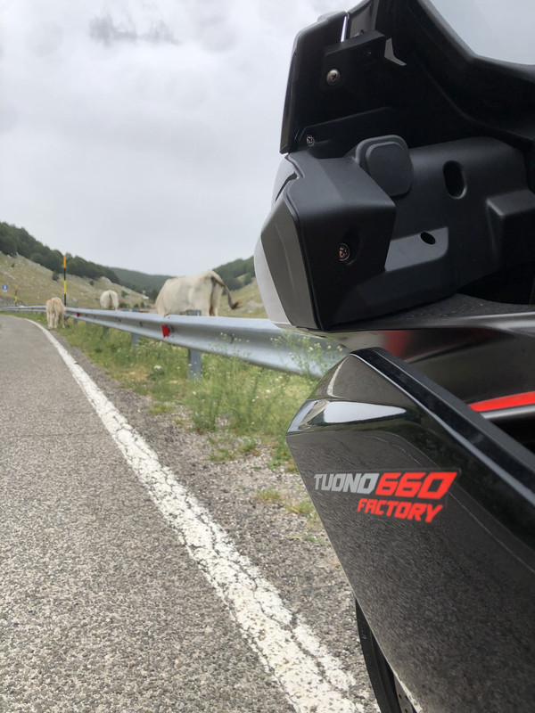 5B84D9FA-0126-406C-88D4-FF227645A59C