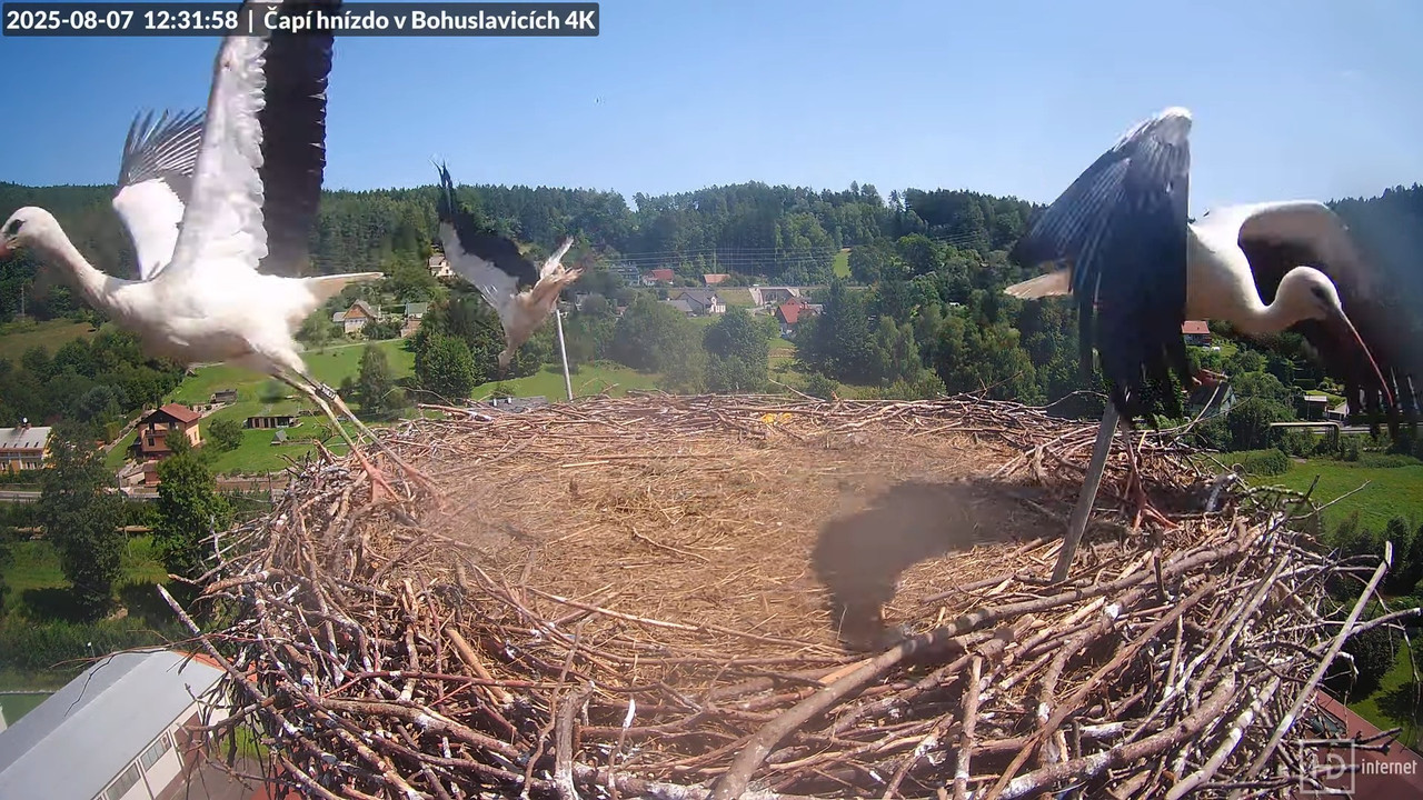 Tiešraide no KARA uzņēmuma stārķu skursteņa Bohuslavicē netālu no Trutnovas 13-47-48 screenshot (1)