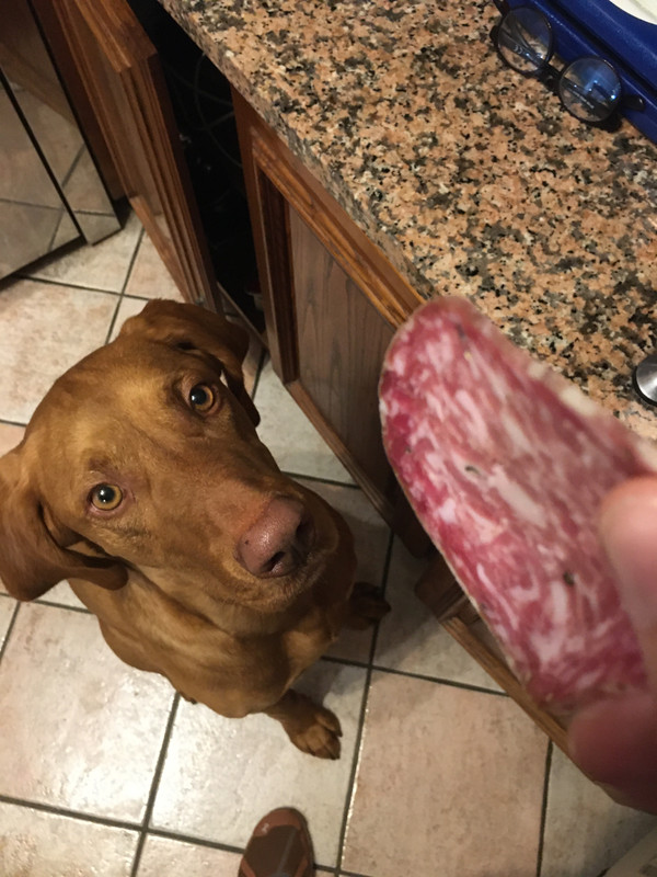 1E354A0F-C6E8-468E-9A25-606633F68214