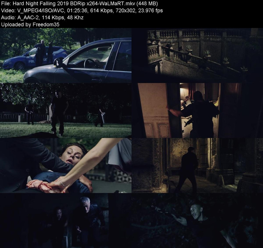 Hard-Night-Falling-2019-BDRip-x264-Wa-LM
