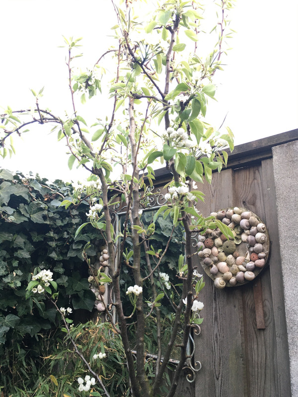 E2CFA714-9CA1-428F-A9F8-E9E69828BBFE