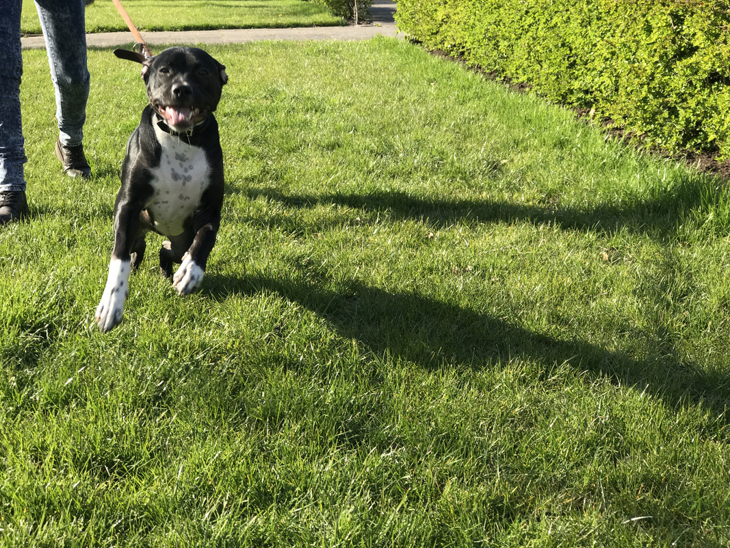 2DEDB5E8-8726-40A5-A154-E08E87CBE0EC