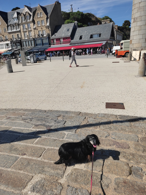 [Image: IMG-20230717-172337.jpg]