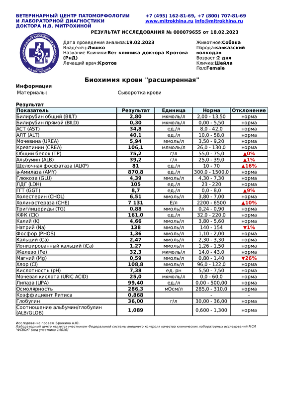 Биохимия крови  расширенная  (Диагностическое исследование 000079655 от 18.02.2023 22 34 51)